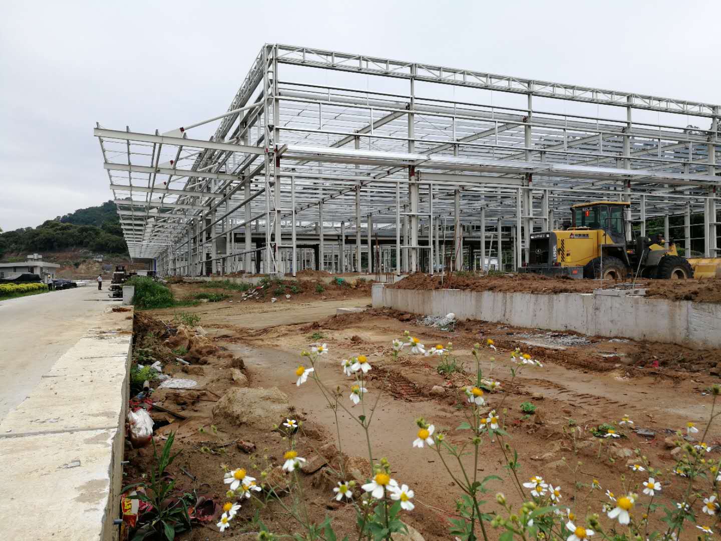 首页 - NG电子官方网站