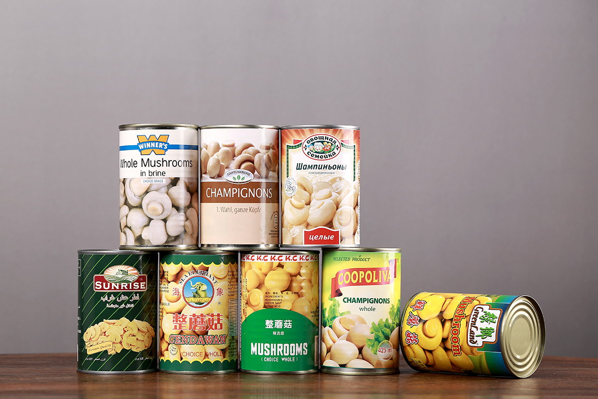 首页 - NG电子官方网站