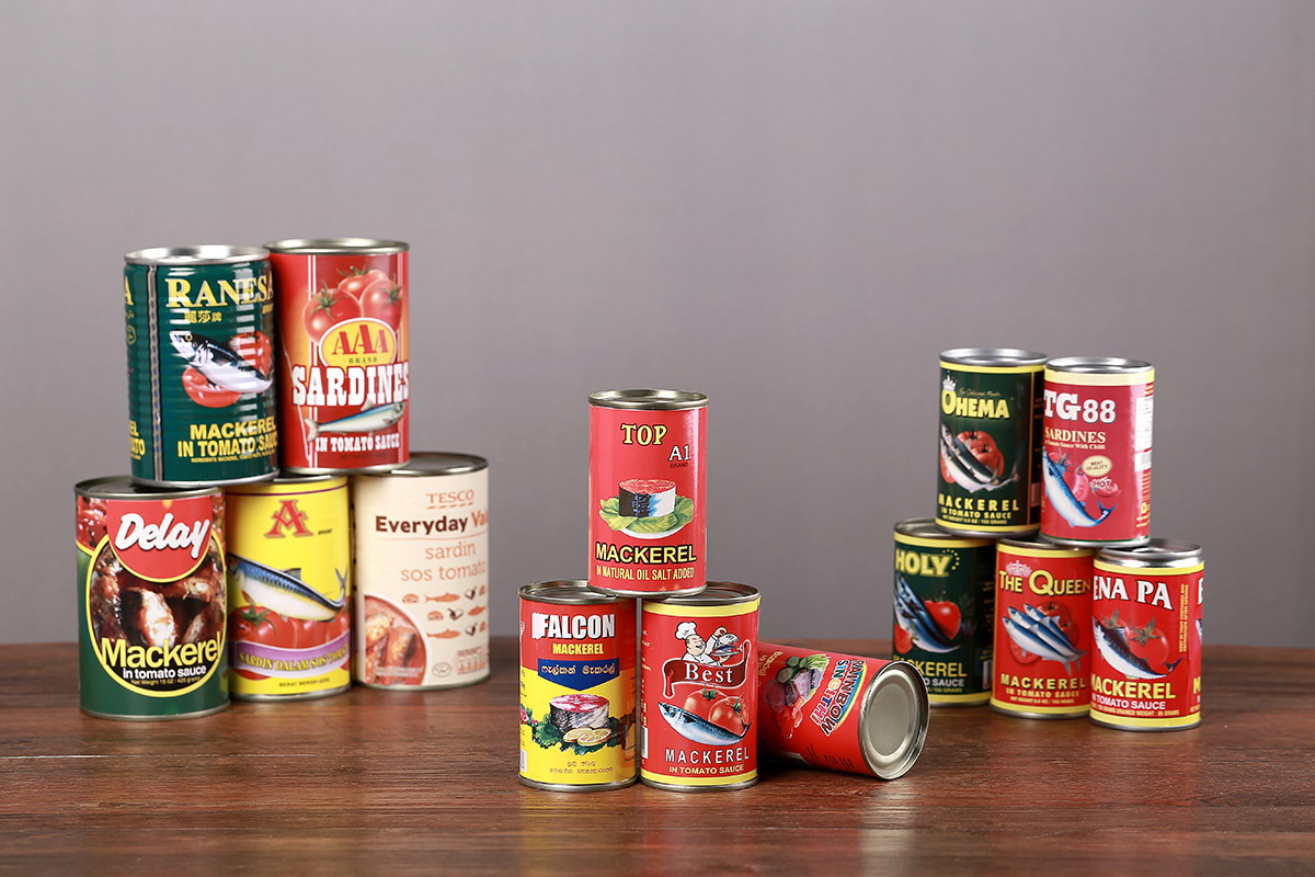 首页 - NG电子官方网站