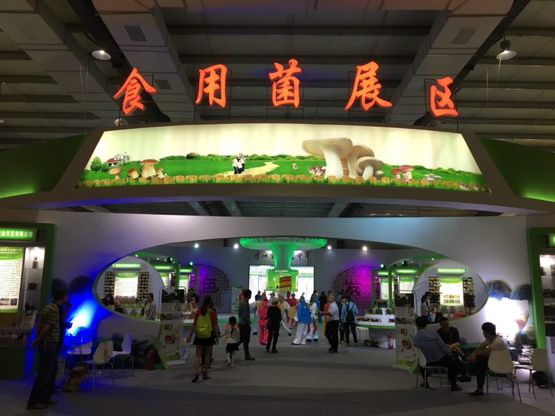 首页 - NG电子官方网站