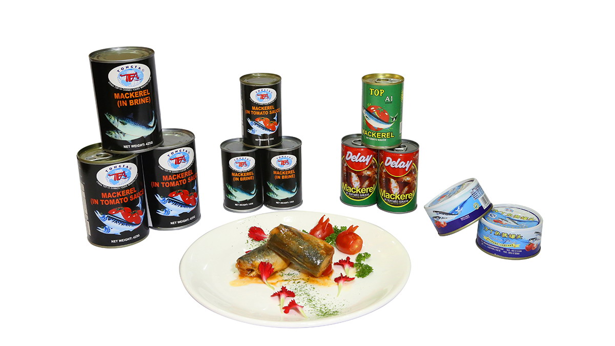 首页 - NG电子官方网站