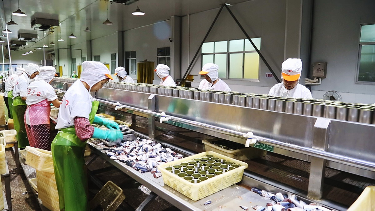 首页 - NG电子官方网站