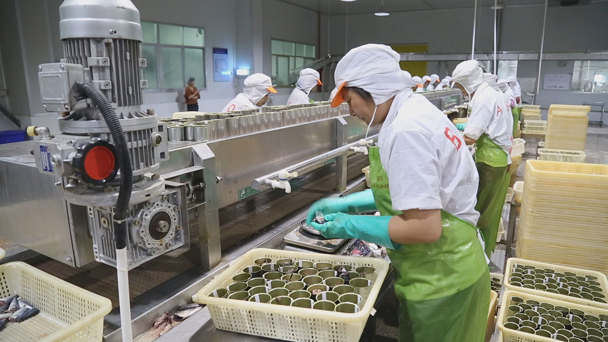 首页 - NG电子官方网站