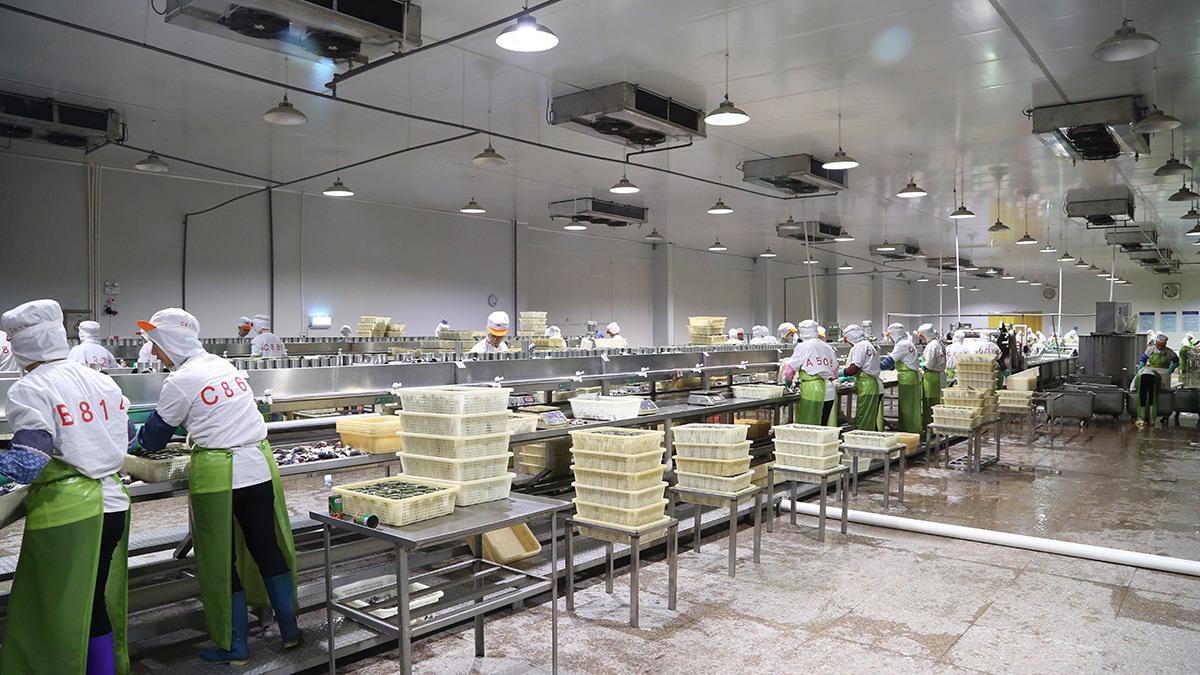 首页 - NG电子官方网站