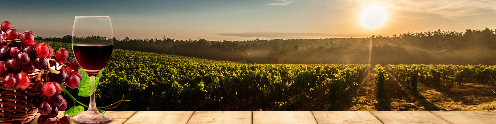 首页 - NG电子官方网站