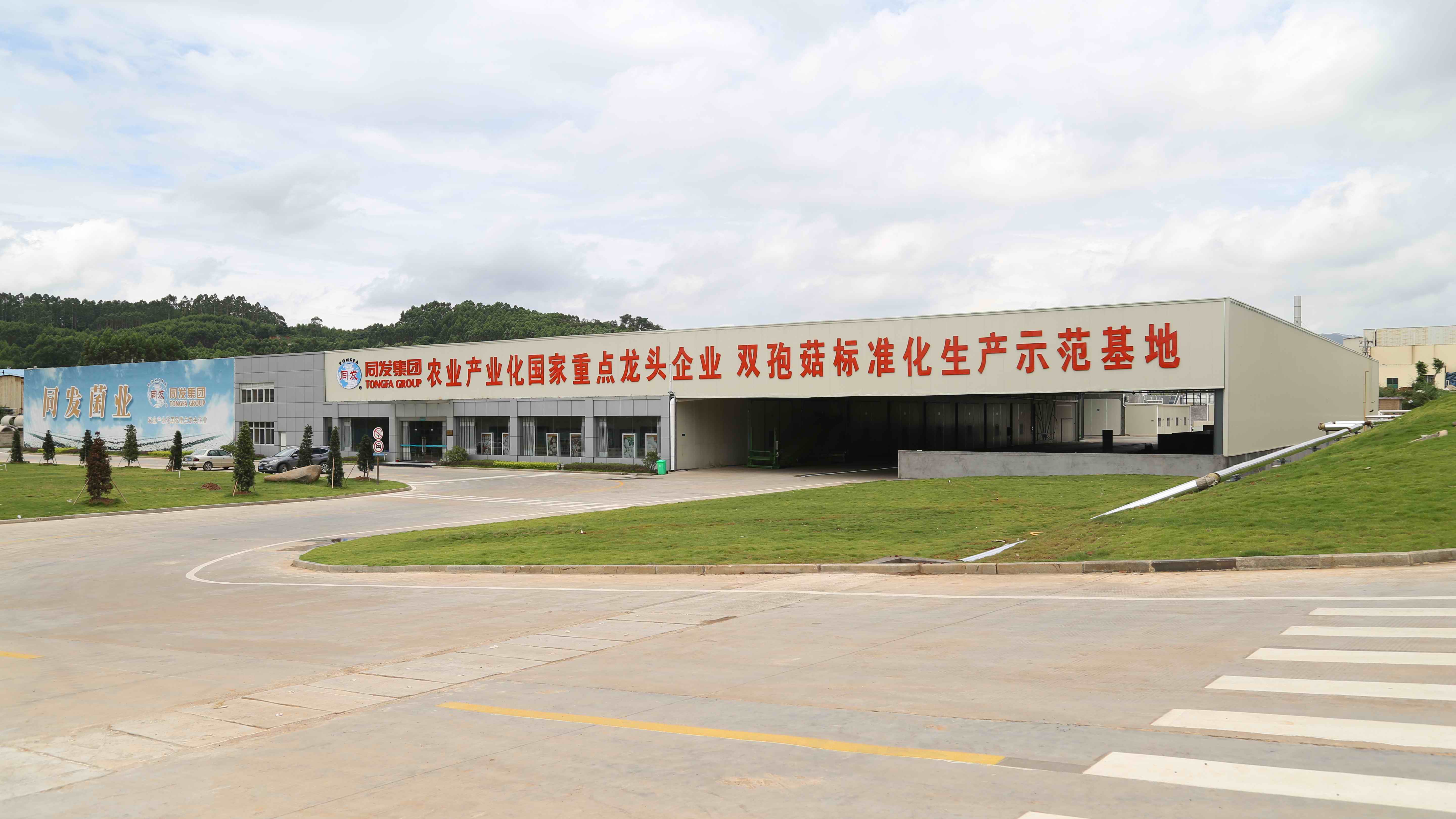 首页 - NG电子官方网站