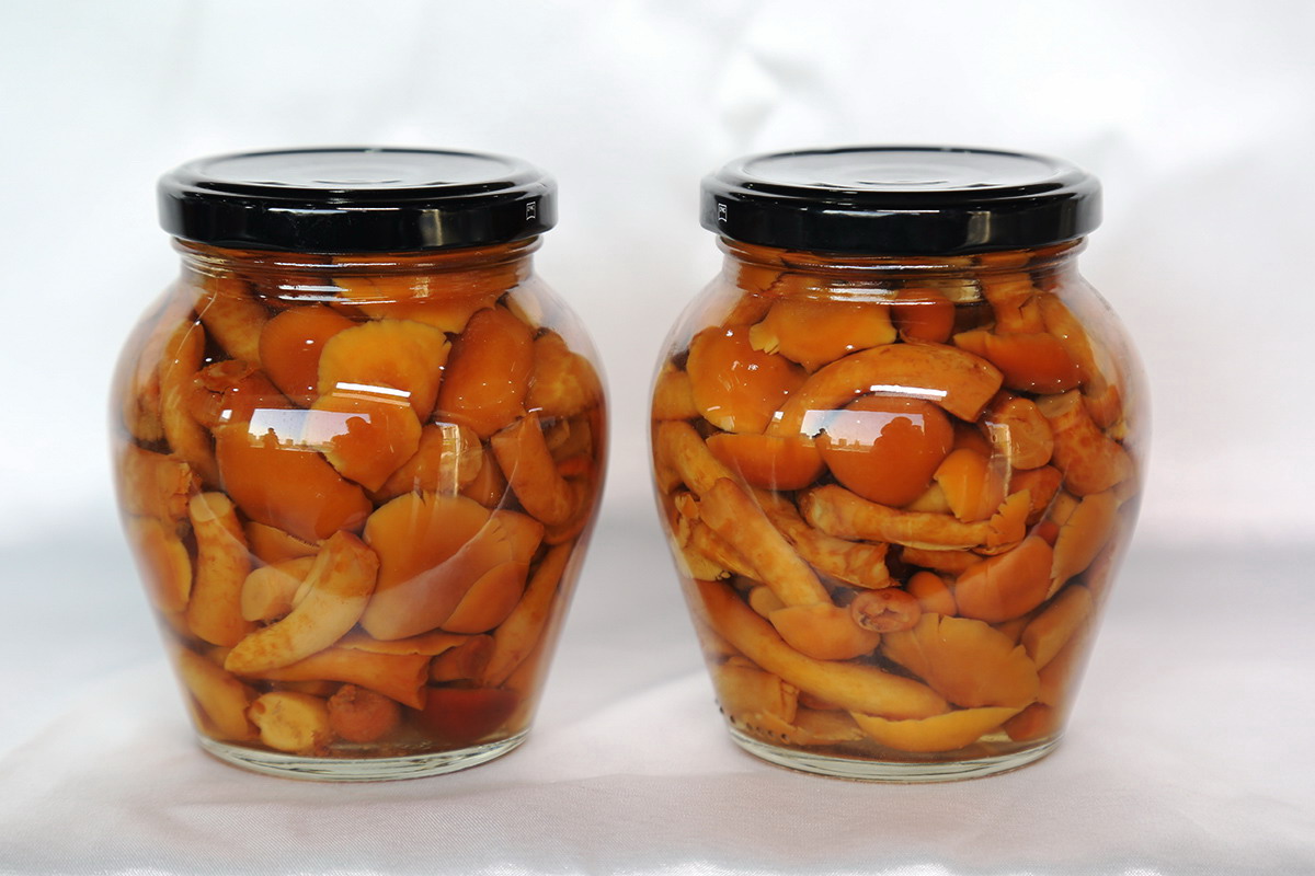 首页 - NG电子官方网站